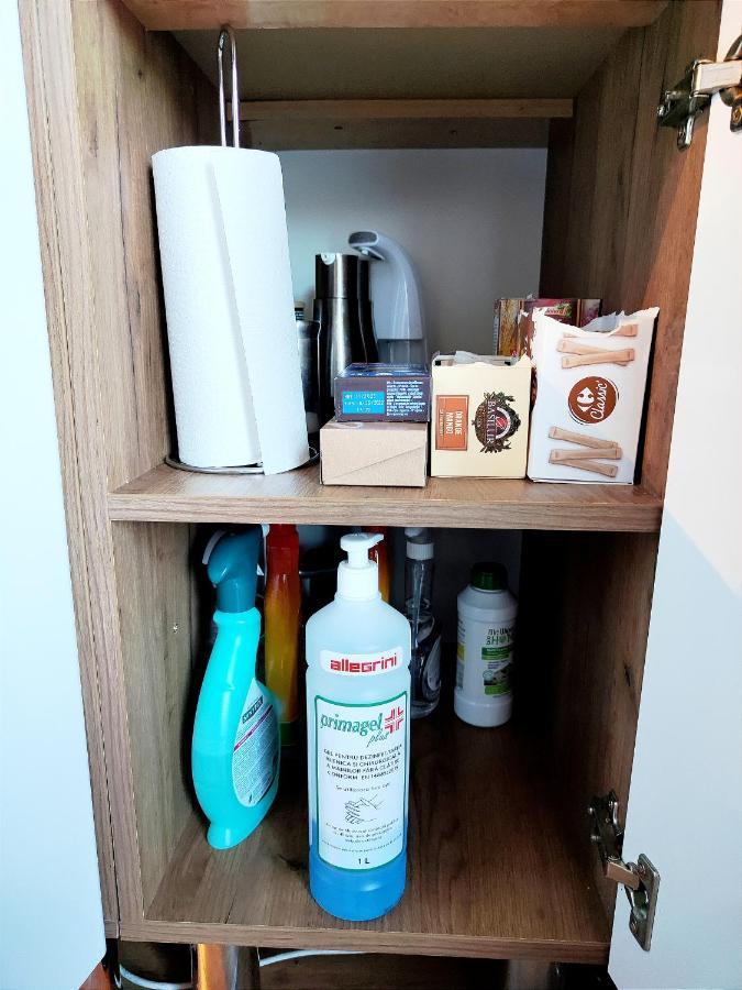 Apartmán Casa De Vis Brašov Exteriér fotografie