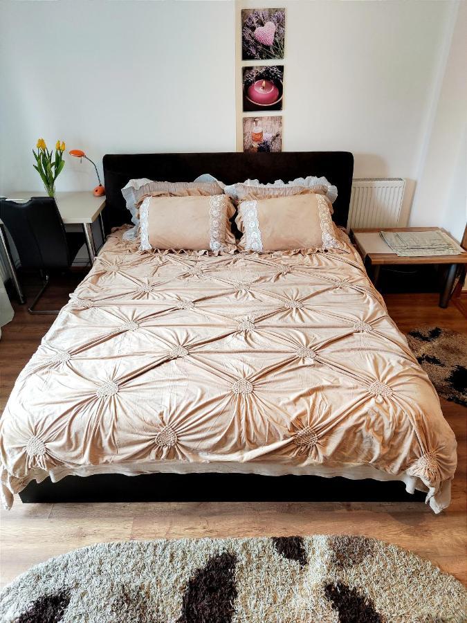Apartmán Casa De Vis Brašov Exteriér fotografie