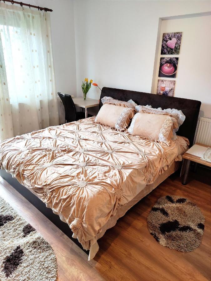 Apartmán Casa De Vis Brašov Exteriér fotografie