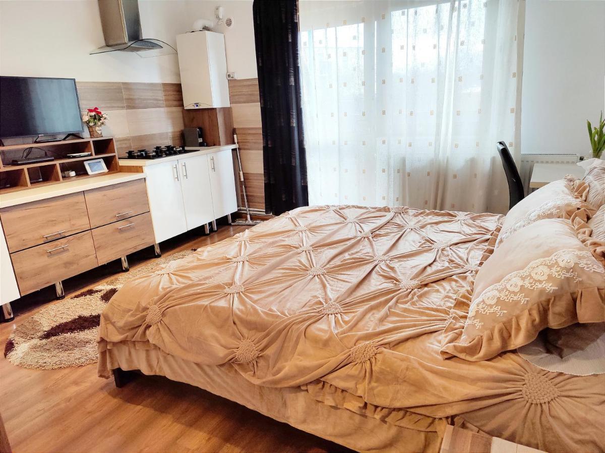 Apartmán Casa De Vis Brašov Exteriér fotografie